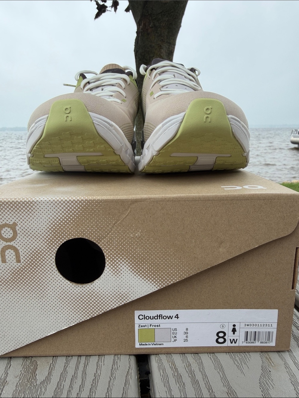 On Running Cloudflow 4 - Zest and Frost (Women)